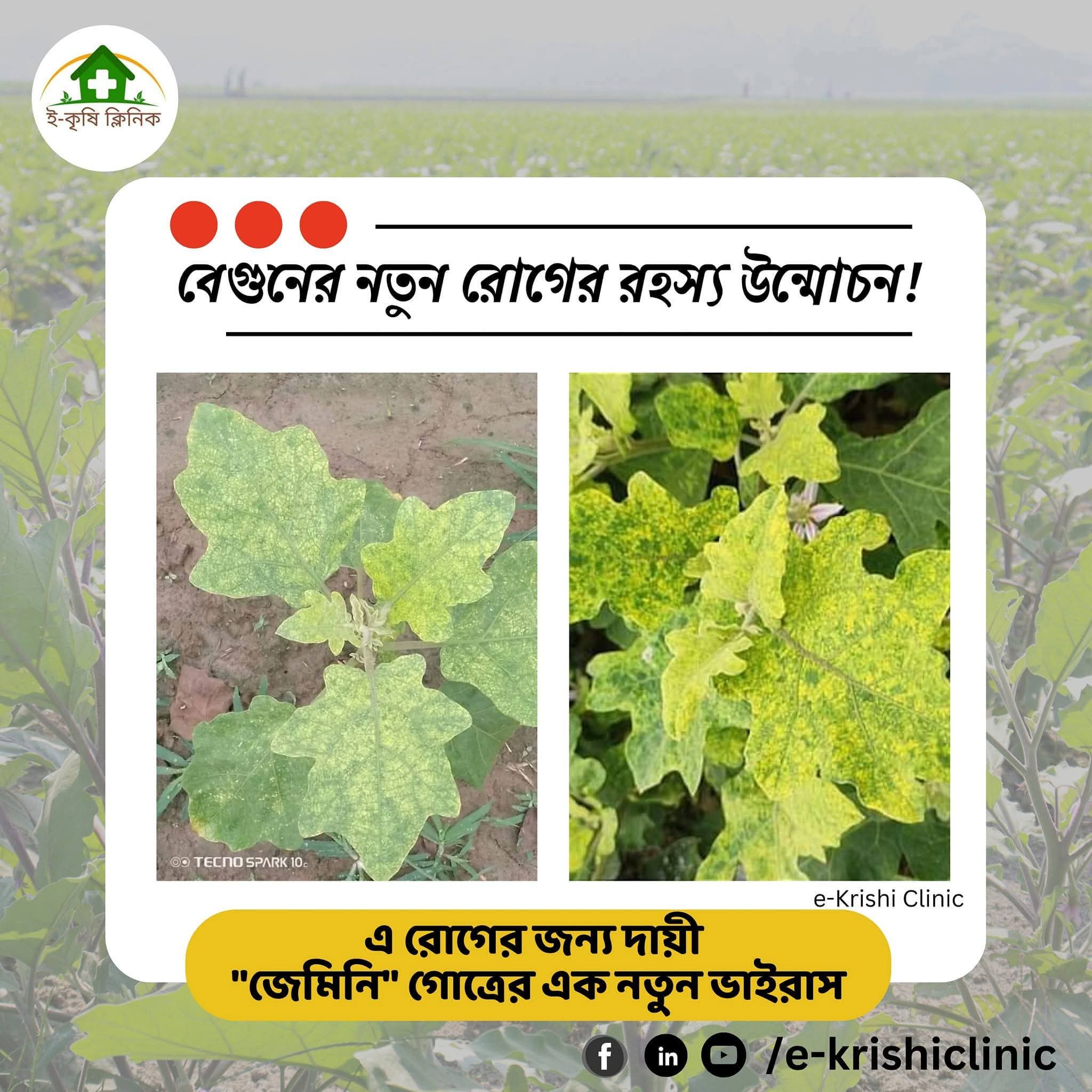 First Research by e-Krishi Clinic Featured at an International Conference