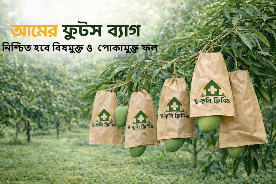 আমের ফ্রুটস ব্যাগ